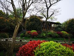 -和茶馆(西溪栖悦城店)