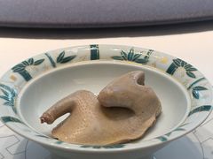 -子福慧(虹桥店)