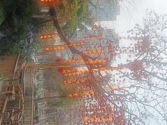 -田园印象·成都土菜院子(华阳店)