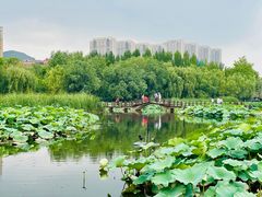 -前关湿地公园