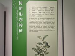 -中国茶叶博物馆(双峰馆区)