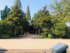 -太平天国侍王府