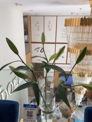 点击看大图 -熙朵美学植发连锁