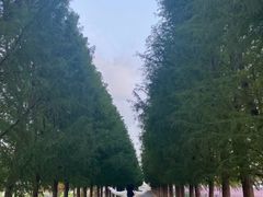 -嘉北郊野公园