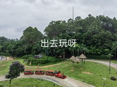 -广州长隆野生动物世界