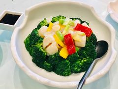 碧绿澳洲带子（约400克）-申粤轩酒楼·三十年粤菜经典(丁香花园店)