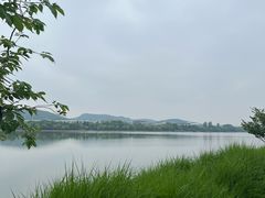 -羊山湖公园