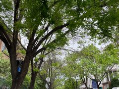 -天津五大道文化旅游区