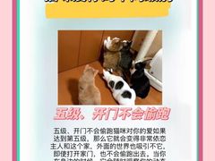 -美联众合动物医院·24h转诊中心