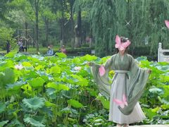 -莲湖公园