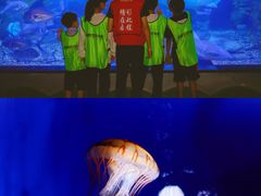 -台州海洋世界