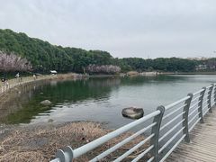 -美兰湖景区
