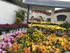 -清明上河园-迎宾门售票处