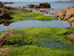 -青岛第二海水浴场