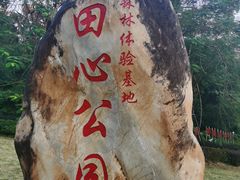 -田心森林公园