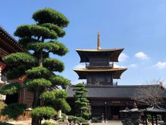 -广富林郊野公园
