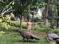 -华雅花园大酒店