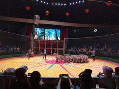 -西安秦岭野生动物园