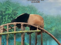 -杭州动物园