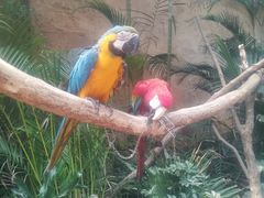 -杭州开元森泊度假乐园