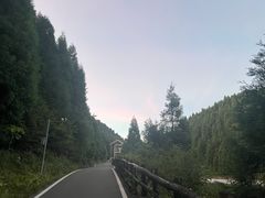 -武陵山森林公园