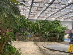 -天源吉布世温泉水乐园