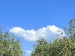 -中国江南水乡文化博物馆