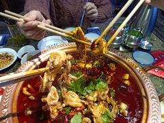 -沪小二炭火蛙锅(淮海中路美食不夜城店)