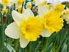 -南山植物园