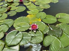 -陕西华浮宫酒店(未央湖公园店)