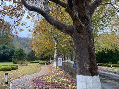 -棒棰岛宾馆景区