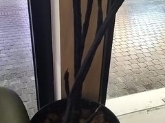 -涟LIAN·泰式按摩·MASSAGE·SPA(深业上城店)