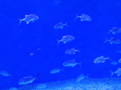 -波塞冬海底世界