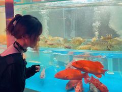 -1718海鲜姿造(苏宁宴请臻选店)