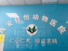 -佳怡动物医院·平价24小时·猫专科骨外科