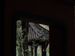 -桂湖森林公园