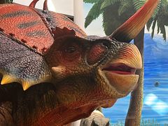 -辽宁古生物博物馆