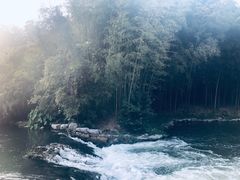 -杭州植物园