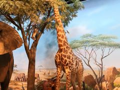 -陕西自然博物馆