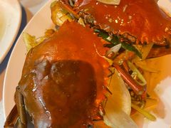 -ZF Seafood Restaurant 卓峰海鲜餐