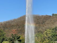 -西双版纳原始森林公园