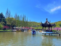 -苏州上方山国家森林公园