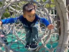 -苏州河梦清园环保主题公园