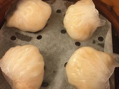 虾饺-添好运点心专门店(深水埗店)