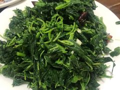 凉拌野菜-普集烧鸡(新店)