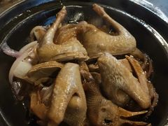 -羽鸽集·乳鸽专门店·地道顺德菜(岭南站店)
