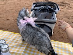 -青岛石老人海水浴场