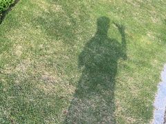 -碧桂园十里银滩