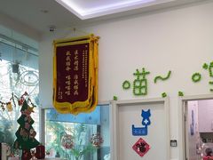 -纳吉亚猫专科动物医院·北北分院