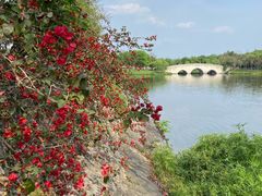 -眉山湿地公园(东坡区)